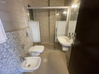 الصورة 12 من 12