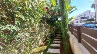 الصورة 2 من 12