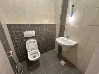 الصورة 8 من 12