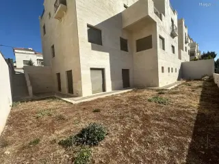 الصورة 6 من 12