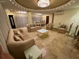 الصورة 12 من 12