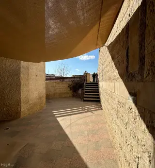 الصورة 10 من 12