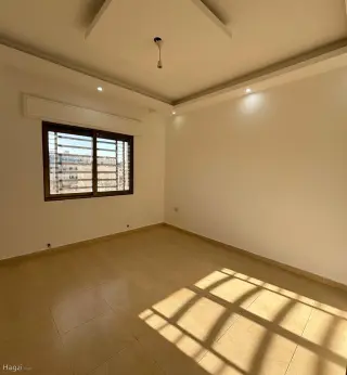 الصورة 6 من 12