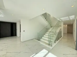 الصورة 10 من 12