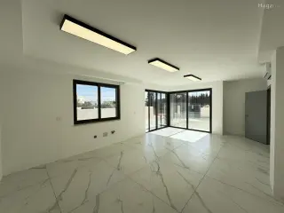 الصورة 9 من 12