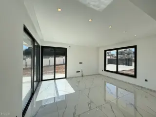 الصورة 12 من 12