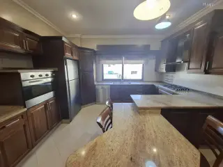 الصورة 12 من 12