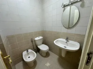 الصورة 3 من 11