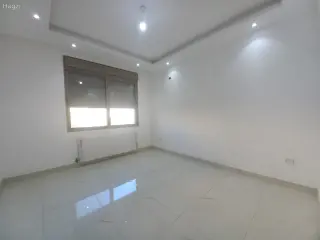 الصورة 6 من 12