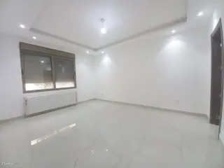 الصورة 3 من 12