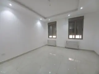 الصورة 8 من 12
