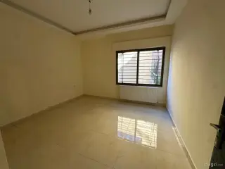 الصورة 4 من 12