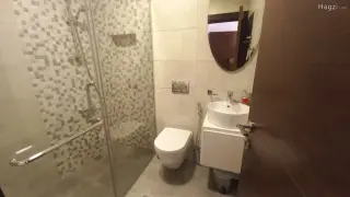 الصورة 11 من 12