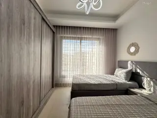 الصورة 8 من 12