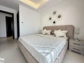 الصورة 12 من 12