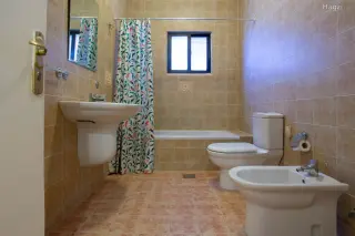 الصورة 8 من 12