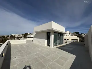 الصورة 11 من 12