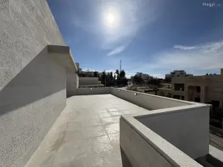 الصورة 12 من 12