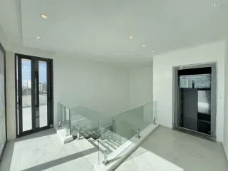 الصورة 10 من 12