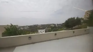 الصورة 7 من 12