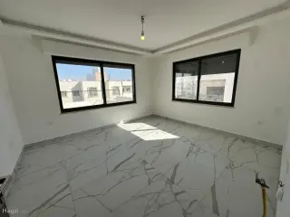 الصورة 12 من 12