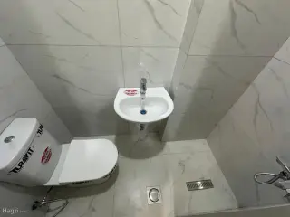 الصورة 6 من 12