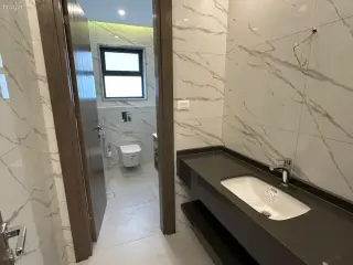 الصورة 2 من 12
