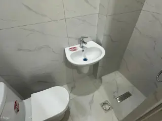 الصورة 3 من 12