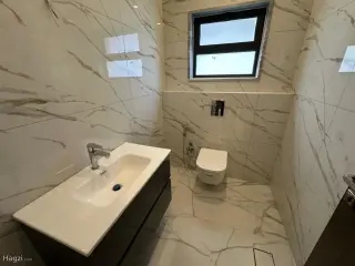 الصورة 5 من 12