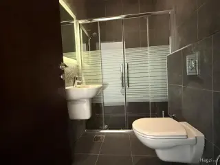 الصورة 10 من 11