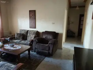 الصورة 8 من 12