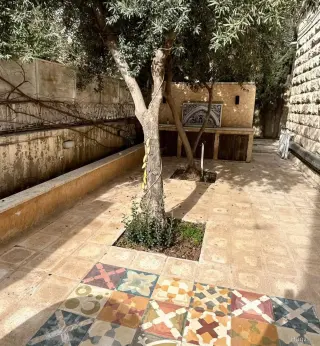 Photograph 7 of 12