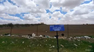 الصورة 2 من 4