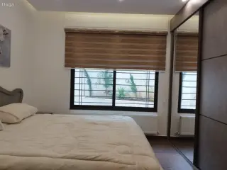 الصورة 10 من 12