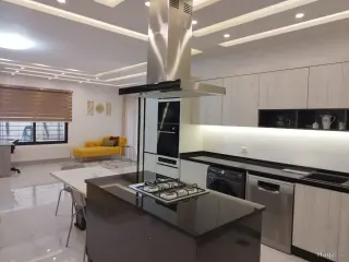 الصورة 12 من 12