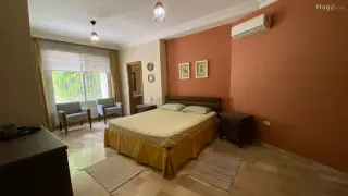 الصورة 1 من 12