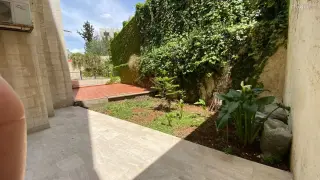 الصورة 3 من 12