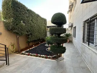 الصورة 11 من 12