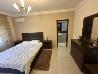 الصورة 4 من 12