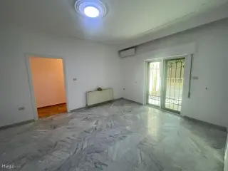 الصورة 12 من 12