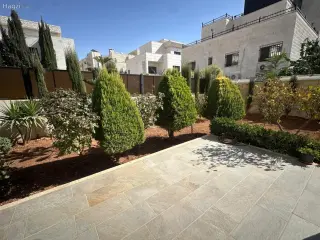 الصورة 10 من 12