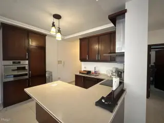 الصورة 2 من 12