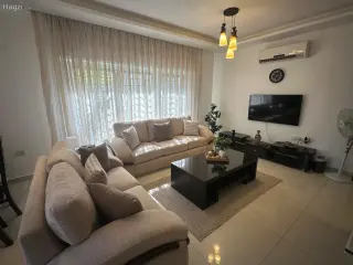 الصورة 3 من 12