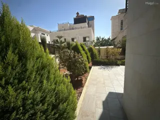 الصورة 9 من 12