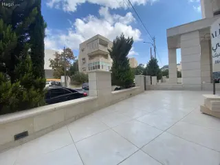 الصورة 1 من 12