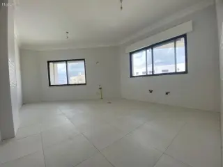 الصورة 8 من 12