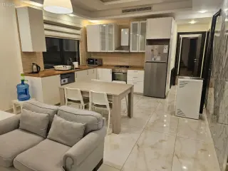 الصورة 1 من 12
