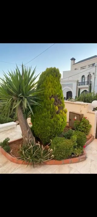 Villa for rent in Al Kursi – photo 12