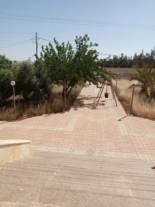 Villa for rent in Airport Road – photo 8