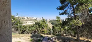 فيلا للإيجار في مرج الحمام – صورة 9